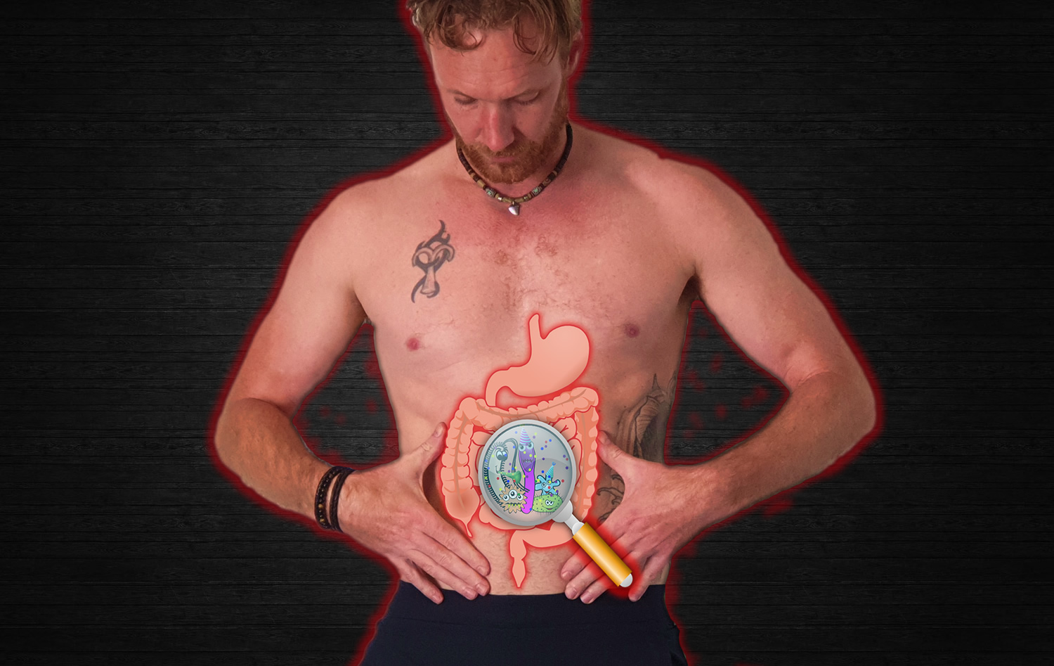 An overview of gut health basics
